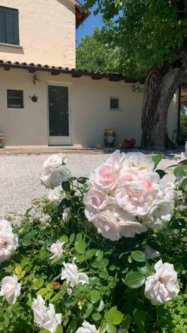 Casa Bellona モンテベッルーナ エクステリア 写真